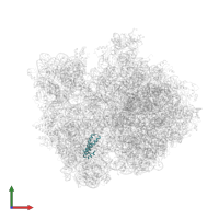 Small ribosomal subunit protein uS15 in PDB entry 4v4r, assembly 1, front view.