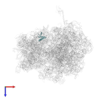 Small ribosomal subunit protein uS15 in PDB entry 4v4r, assembly 1, top view.