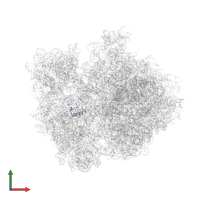 Small ribosomal subunit protein bS18 in PDB entry 4v4r, assembly 1, front view.