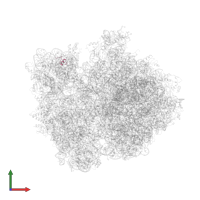 Small ribosomal subunit protein bTHX in PDB entry 4v4r, assembly 1, front view.