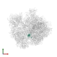 Large ribosomal subunit protein uL14 in PDB entry 4v4r, assembly 1, front view.