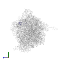 50S ribosomal protein L16 in PDB entry 4v4r, assembly 1, side view.