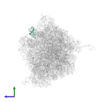 Large ribosomal subunit protein bL25 in PDB entry 4v4r, assembly 1, side view.