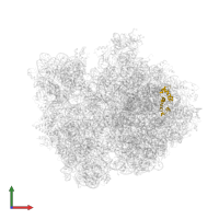 Large ribosomal subunit protein bL20 in PDB entry 4v4r, assembly 1, front view.