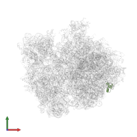 Large ribosomal subunit protein uL29 in PDB entry 4v4r, assembly 1, front view.