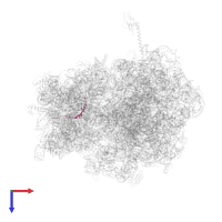 5'-R(*AP*UP*GP*UP*UP*CP*UP*AP*GP*UP*AP*CP*AP*AP*UP*AP*AP*U)-3' in PDB entry 4v4r, assembly 1, top view.