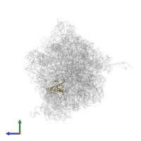 Small ribosomal subunit protein uS4 in PDB entry 4v4r, assembly 1, side view.