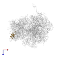 Small ribosomal subunit protein uS4 in PDB entry 4v4r, assembly 1, top view.