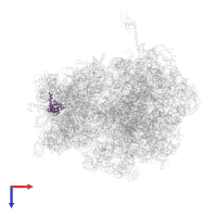 Small ribosomal subunit protein uS5 in PDB entry 4v4r, assembly 1, top view.