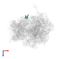 Small ribosomal subunit protein bS6 in PDB entry 4v4r, assembly 1, top view.