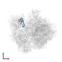 Small ribosomal subunit protein uS7 in PDB entry 4v4s, assembly 1, front view.