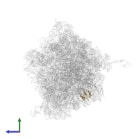 Large ribosomal subunit protein uL23 in PDB entry 4v4t, assembly 1, side view.