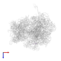 Large ribosomal subunit protein bL36 in PDB entry 4v4t, assembly 1, top view.