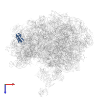 Small ribosomal subunit protein uS9 in PDB entry 4v4v, assembly 1, top view.