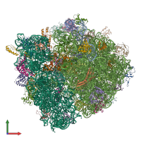 PDB entry 4v4w coloured by chain, front view.