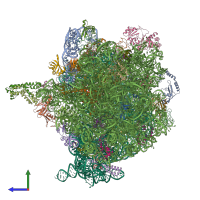 PDB entry 4v4w coloured by chain, side view.