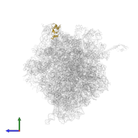 Large ribosomal subunit protein uL18 in PDB entry 4v4x, assembly 1, side view.