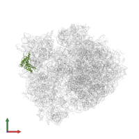Small ribosomal subunit protein uS3 in PDB entry 4v4x, assembly 1, front view.