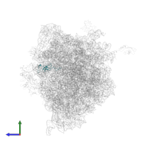 Large ribosomal subunit protein bL21 in PDB entry 4v51, assembly 2, side view.