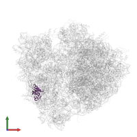30S RIBOSOMAL PROTEIN S8 in PDB entry 4v51, assembly 2, front view.