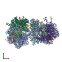 PDB entry 4v52 coloured by chain, front view.