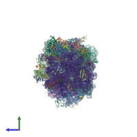 PDB entry 4v52 coloured by chain, side view.