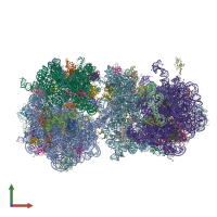 PDB entry 4v53 coloured by chain, front view.