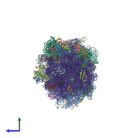 PDB entry 4v53 coloured by chain, side view.