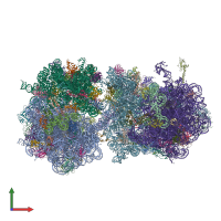 PDB entry 4v54 coloured by chain, front view.