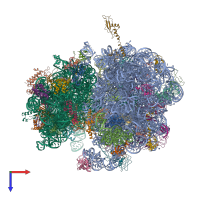 Hetero 53-meric assembly 2 of PDB entry 4v55 coloured by chemically distinct molecules, top view.