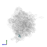 Small ribosomal subunit protein bS16 in PDB entry 4v55, assembly 1, side view.