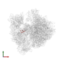 Small ribosomal subunit protein bS18 in PDB entry 4v55, assembly 1, front view.