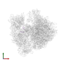 Small ribosomal subunit protein bS21 in PDB entry 4v55, assembly 1, front view.