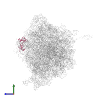 Large ribosomal subunit protein uL11 in PDB entry 4v55, assembly 1, side view.