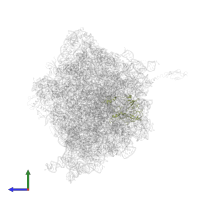 Large ribosomal subunit protein uL2 in PDB entry 4v55, assembly 1, side view.