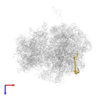 Large ribosomal subunit protein bL20 in PDB entry 4v55, assembly 1, top view.