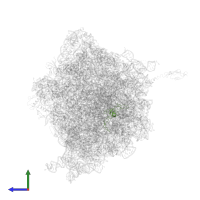 Large ribosomal subunit protein uL24 in PDB entry 4v55, assembly 1, side view.