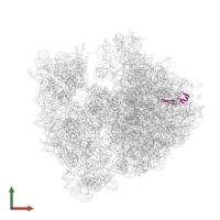 Large ribosomal subunit protein bL21 in PDB entry 4v55, assembly 1, front view.