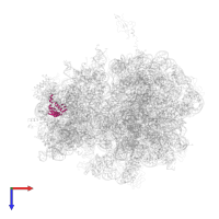 Small ribosomal subunit protein uS5 in PDB entry 4v55, assembly 1, top view.