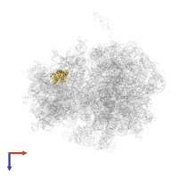 Small ribosomal subunit protein uS7 in PDB entry 4v55, assembly 1, top view.