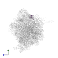 Small ribosomal subunit protein uS9 in PDB entry 4v55, assembly 1, side view.