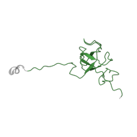 The deposited structure of PDB entry 4v57 contains 2 copies of Pfam domain PF00164 (Ribosomal protein S12/S23) in Small ribosomal subunit protein uS12. Showing 1 copy in chain K [auth AL].