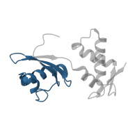 The deposited structure of PDB entry 4v57 contains 2 copies of Pfam domain PF03946 (Ribosomal protein L11, N-terminal domain) in Large ribosomal subunit protein uL11. Showing 1 copy in chain X [auth BI].