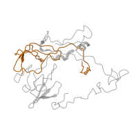 The deposited structure of PDB entry 4v57 contains 2 copies of Pfam domain PF00181 (Ribosomal Proteins L2, RNA binding domain) in Large ribosomal subunit protein uL2. Showing 1 copy in chain Y [auth BC].