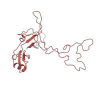 The deposited structure of PDB entry 4v57 contains 2 copies of Pfam domain PF00297 (Ribosomal protein L3) in Large ribosomal subunit protein uL3. Showing 1 copy in chain Z [auth BD].