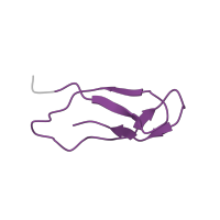 The deposited structure of PDB entry 4v57 contains 2 copies of Pfam domain PF00471 (Ribosomal protein L33) in Large ribosomal subunit protein bL33. Showing 1 copy in chain GA [auth B1].