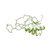 The deposited structure of PDB entry 4v57 contains 2 copies of Pfam domain PF00252 (Ribosomal protein L16p/L10e) in Large ribosomal subunit protein uL16. Showing 1 copy in chain LA [auth BM].