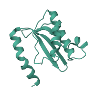 The deposited structure of PDB entry 4v57 contains 2 copies of Pfam domain PF00861 (Ribosomal L18 of archaea, bacteria, mitoch. and chloroplast) in Large ribosomal subunit protein uL18. Showing 1 copy in chain QA [auth BO].