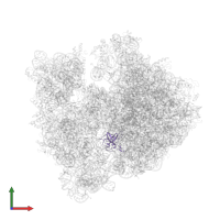 Large ribosomal subunit protein uL14 in PDB entry 4v57, assembly 1, front view.
