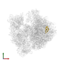 Large ribosomal subunit protein bL20 in PDB entry 4v57, assembly 1, front view.